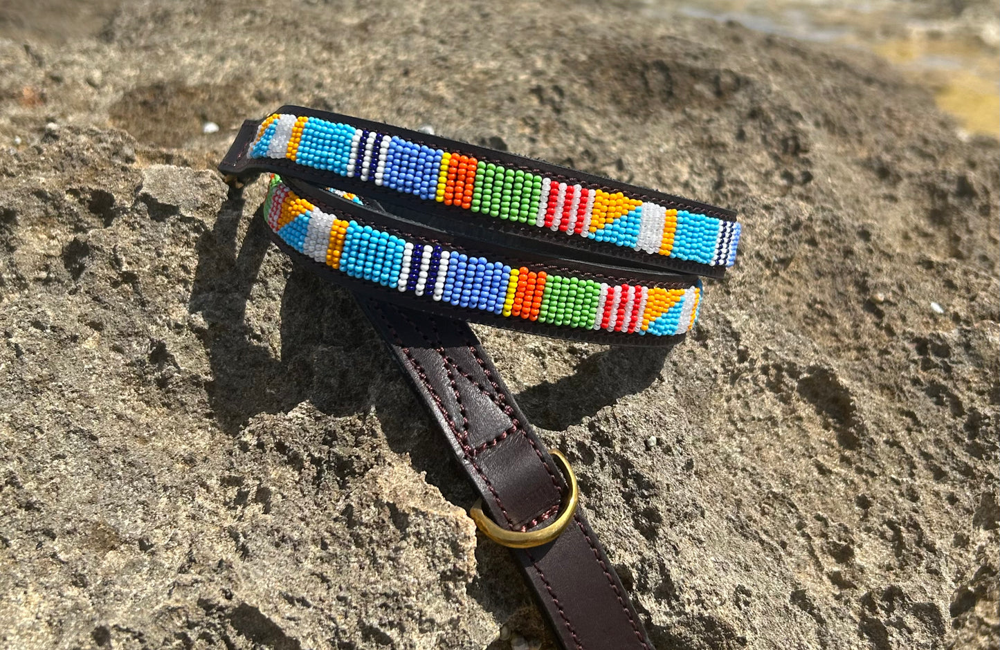 PASTEL - LEASH