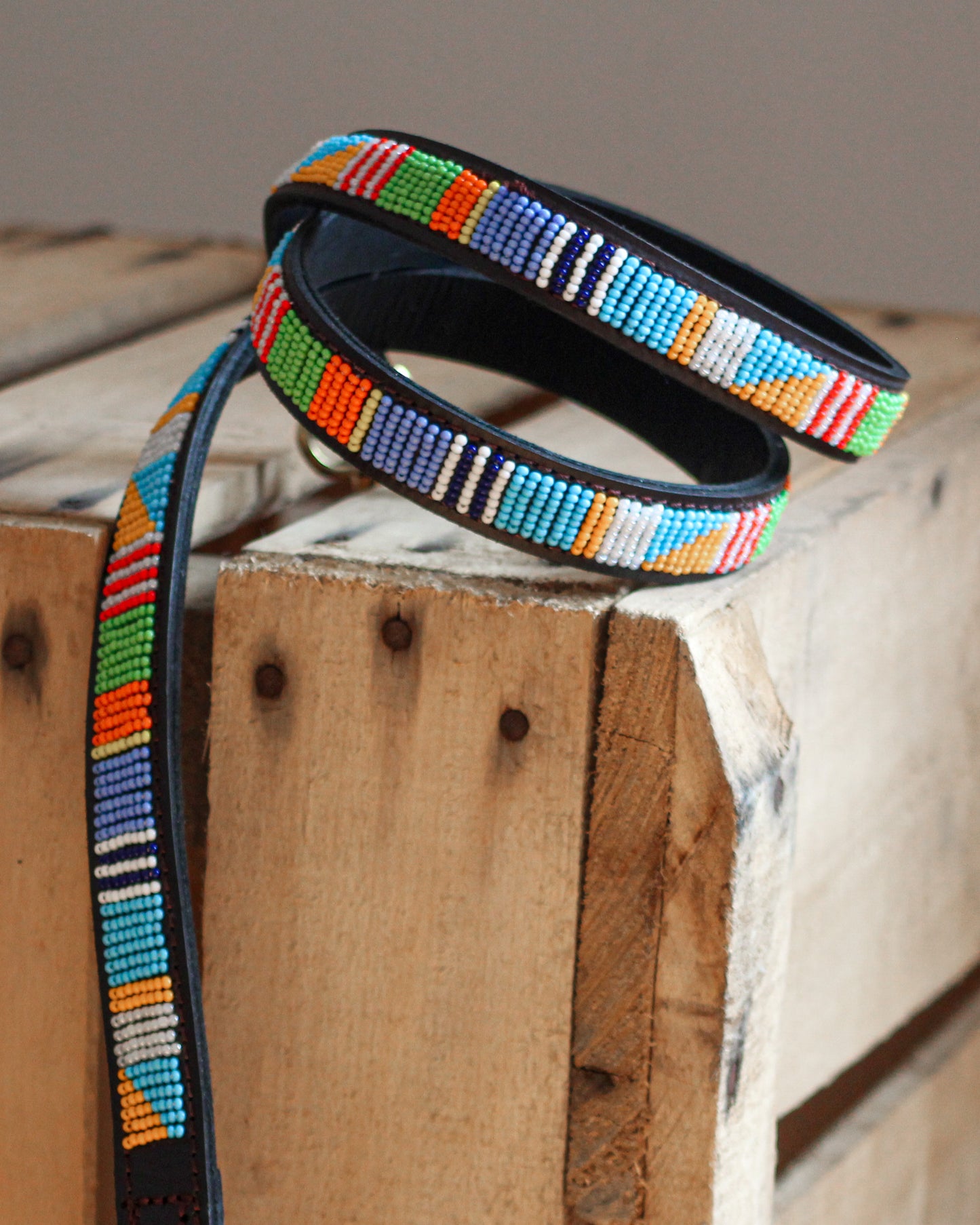 PASTEL - LEASH