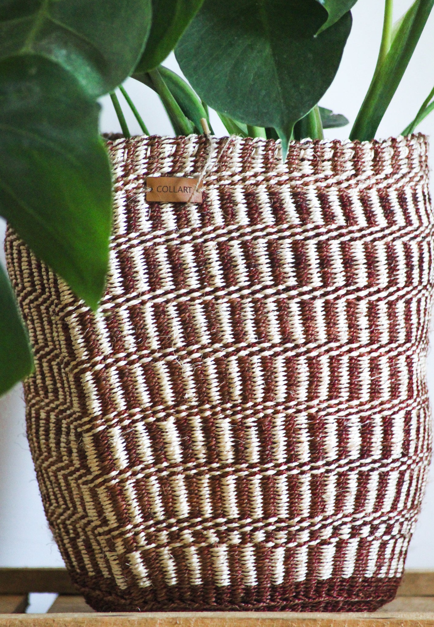 SISAL PLANTER M