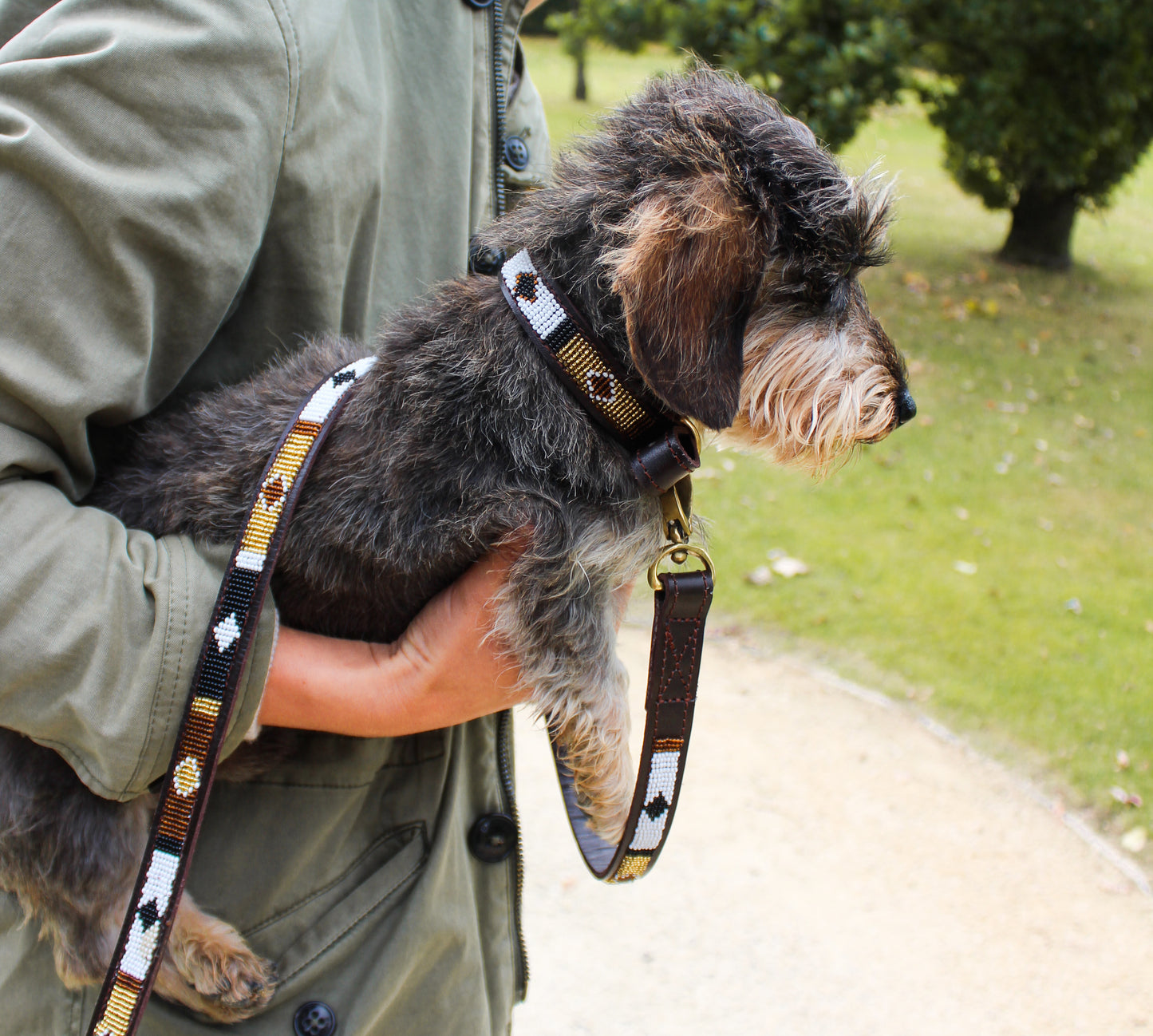 SIOUX - LEASH