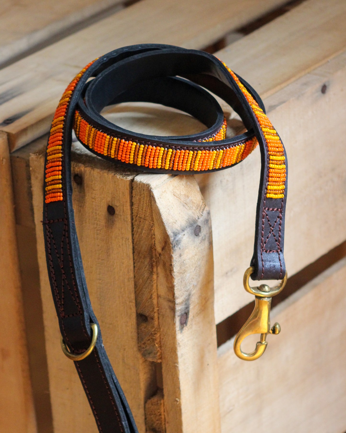 ORANGE - LEASH
