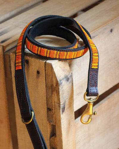 ORANGE - LEASH