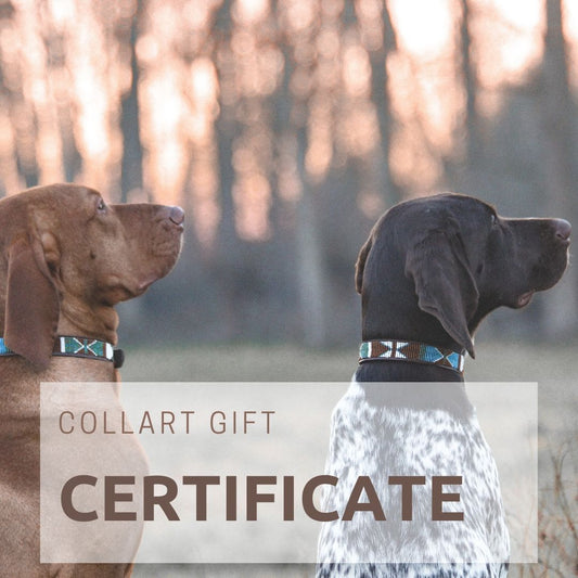 COLLART GIFT CERTIFICATE