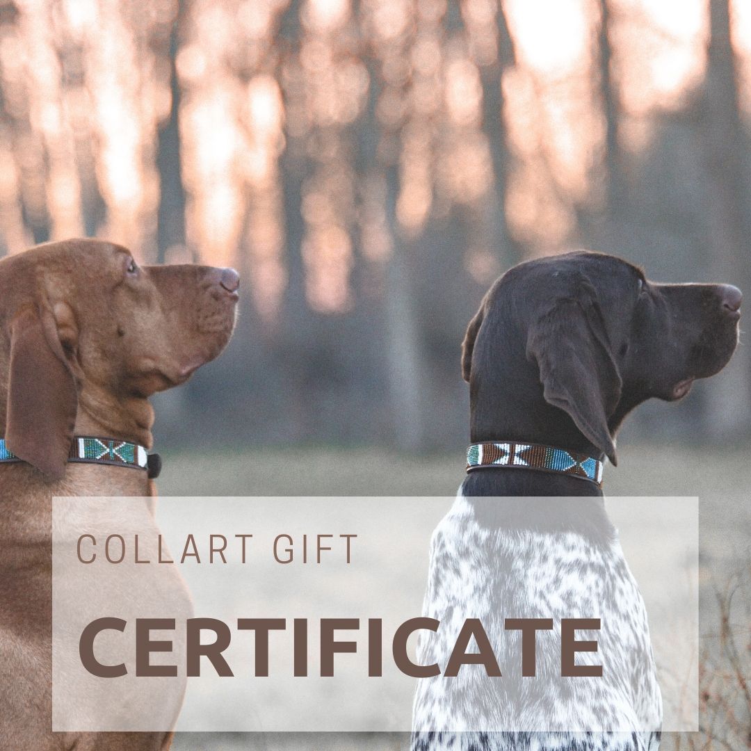 COLLART GIFT CARD