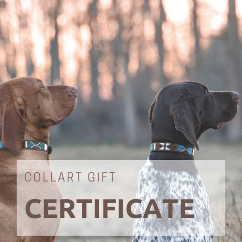 COLLART GIFT CARD