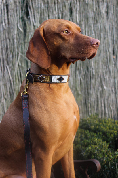 BASIC - LEASH