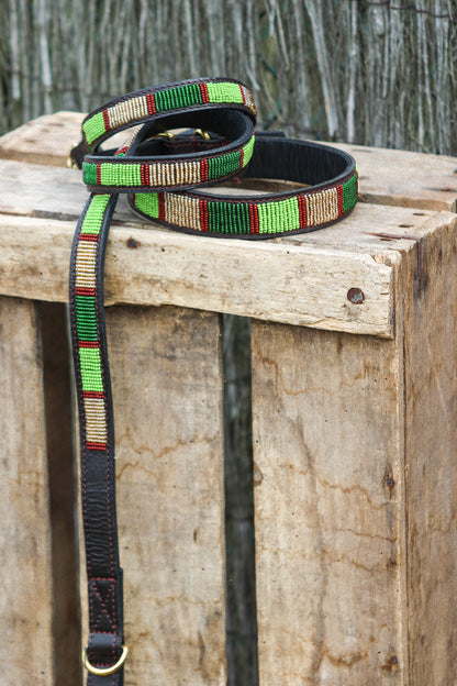 LIMON - LEASH