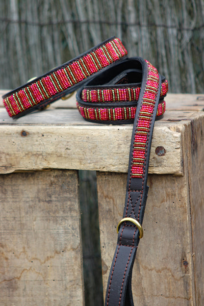 COYOTE - LEASH