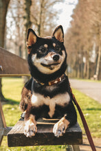 Load image into Gallery viewer, SIOUX