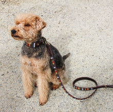 Load image into Gallery viewer, HAVANA - LEASH
