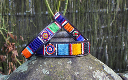 MACHU PICCHU - LEASH