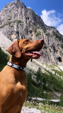 Load image into Gallery viewer, BUCKAROO
