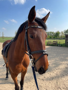 ARIZONA - BROWBAND