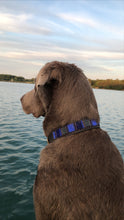 Load image into Gallery viewer, MAUI