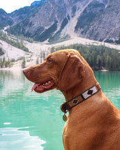Load image into Gallery viewer, SIOUX